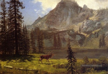  Montagne Galerie - Appel du sauvage Albert Bierstadt Montagne